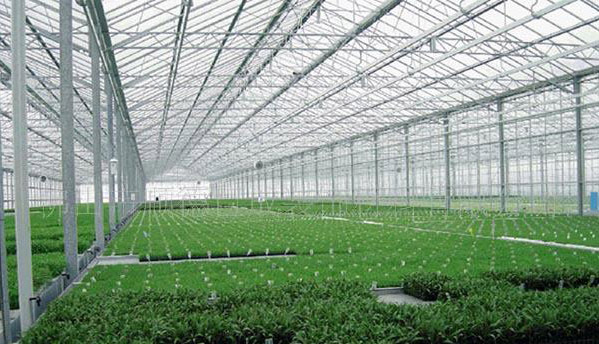 漯河意達(dá)透明瓦廠 透明瓦 采光瓦 塑料大棚瓦(圖18) undefined